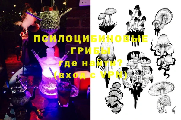СК Абинск