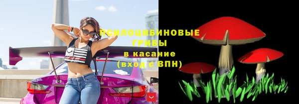 стаф Абаза