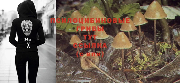 СК Абинск