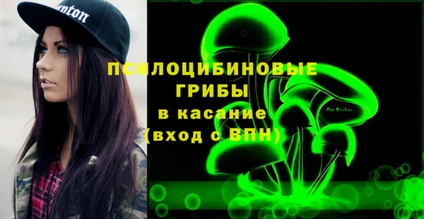 стаф Абаза