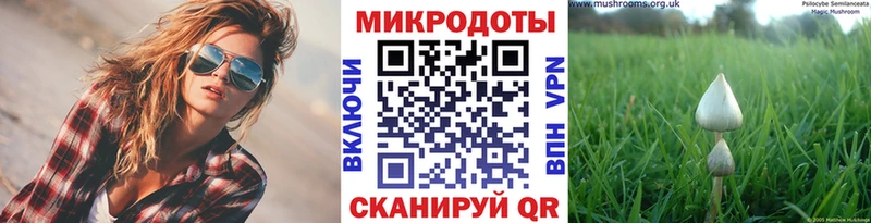 Псилоцибиновые грибы мицелий Усть-Катав
